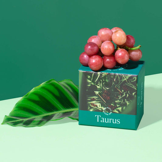 Taurus