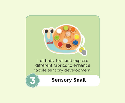 Montessori Educational Box (7-8 months)