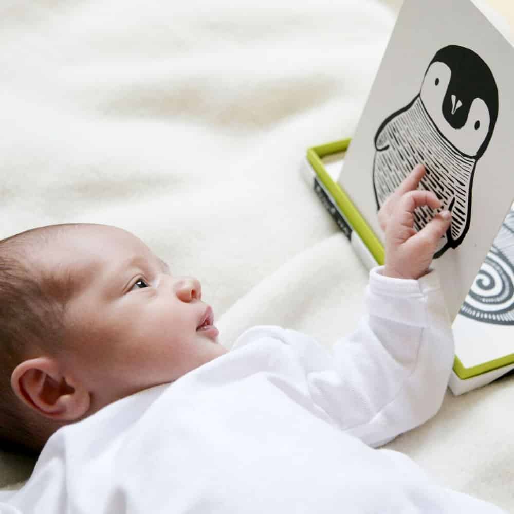 Art Cards for Baby - Jungle Collection | Wee Gallery - additional view