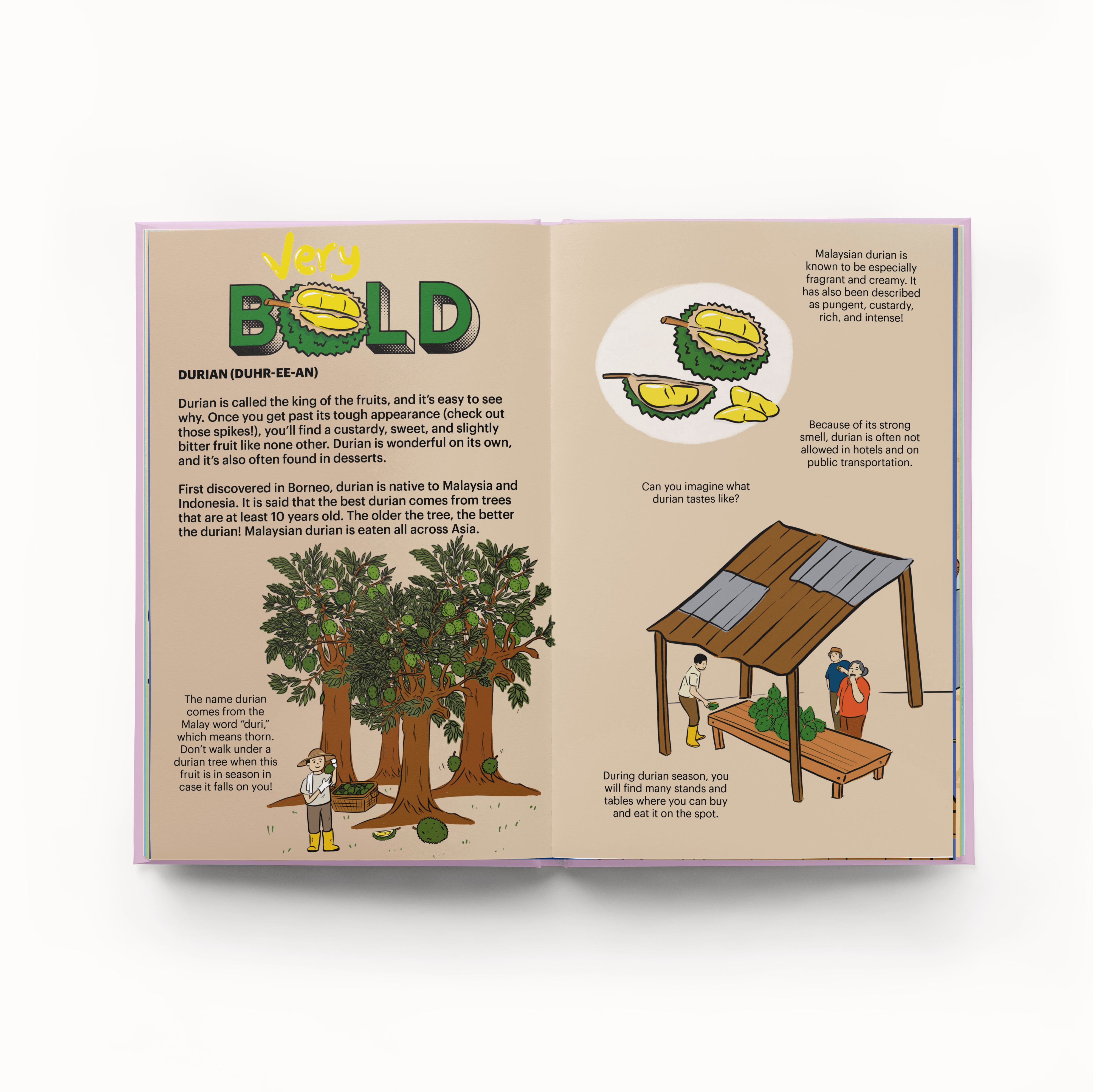 A Very Asian Guide to Malaysian and Singaporean Food | Gloo Books - additional view