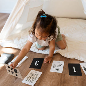 Nature Number Cards | Wee Gallery - additional view