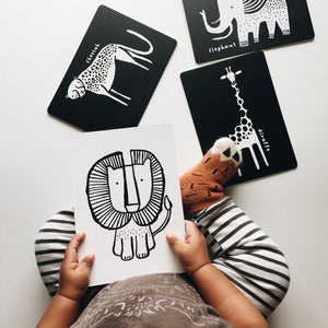 Art Cards for Baby - Safari Collection | Wee Gallery - additional view