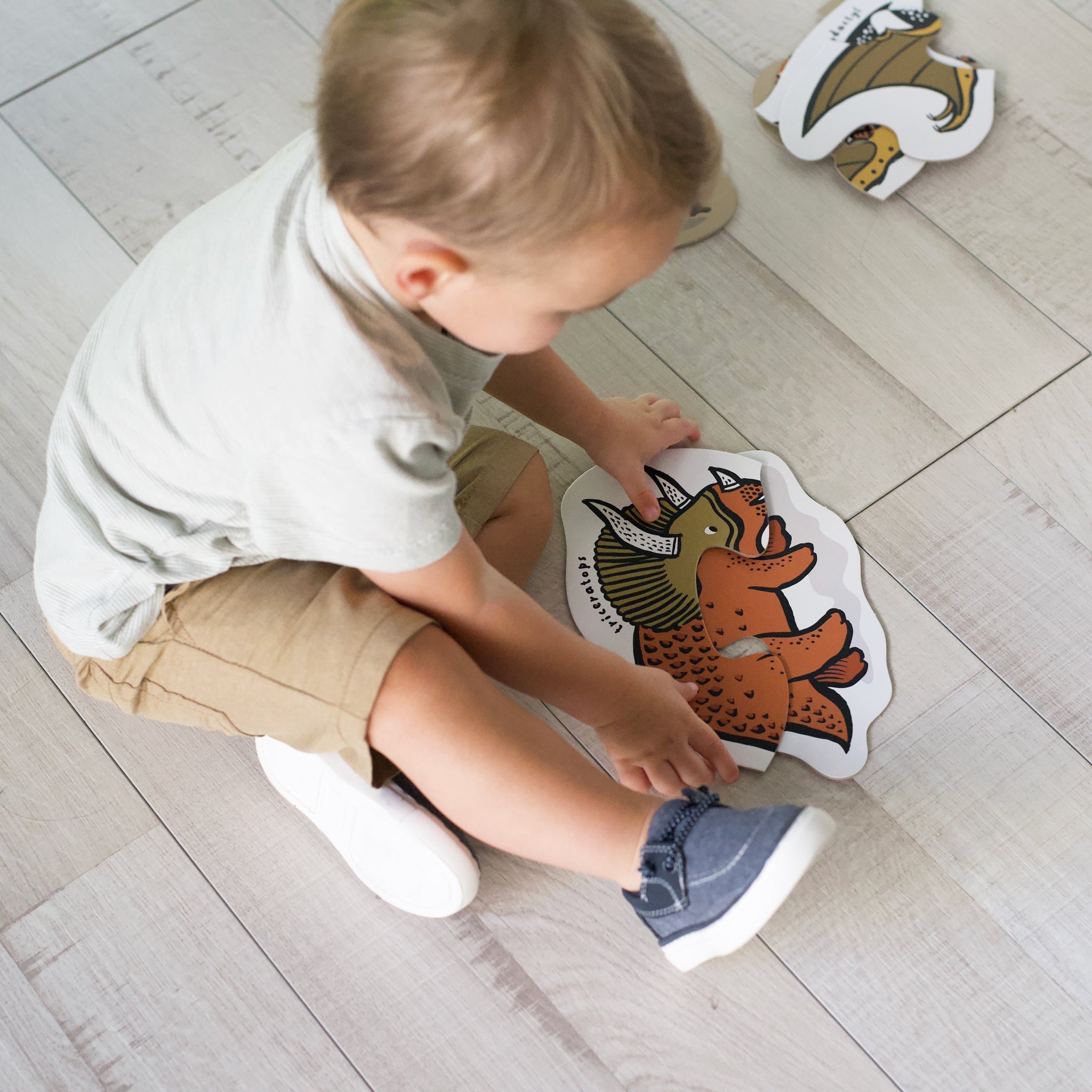 Beginner Puzzles - Dinos | Wee Gallery - additional view
