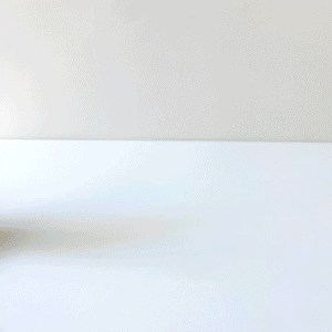 Bunny Push Toy | Wee Gallery - additional view