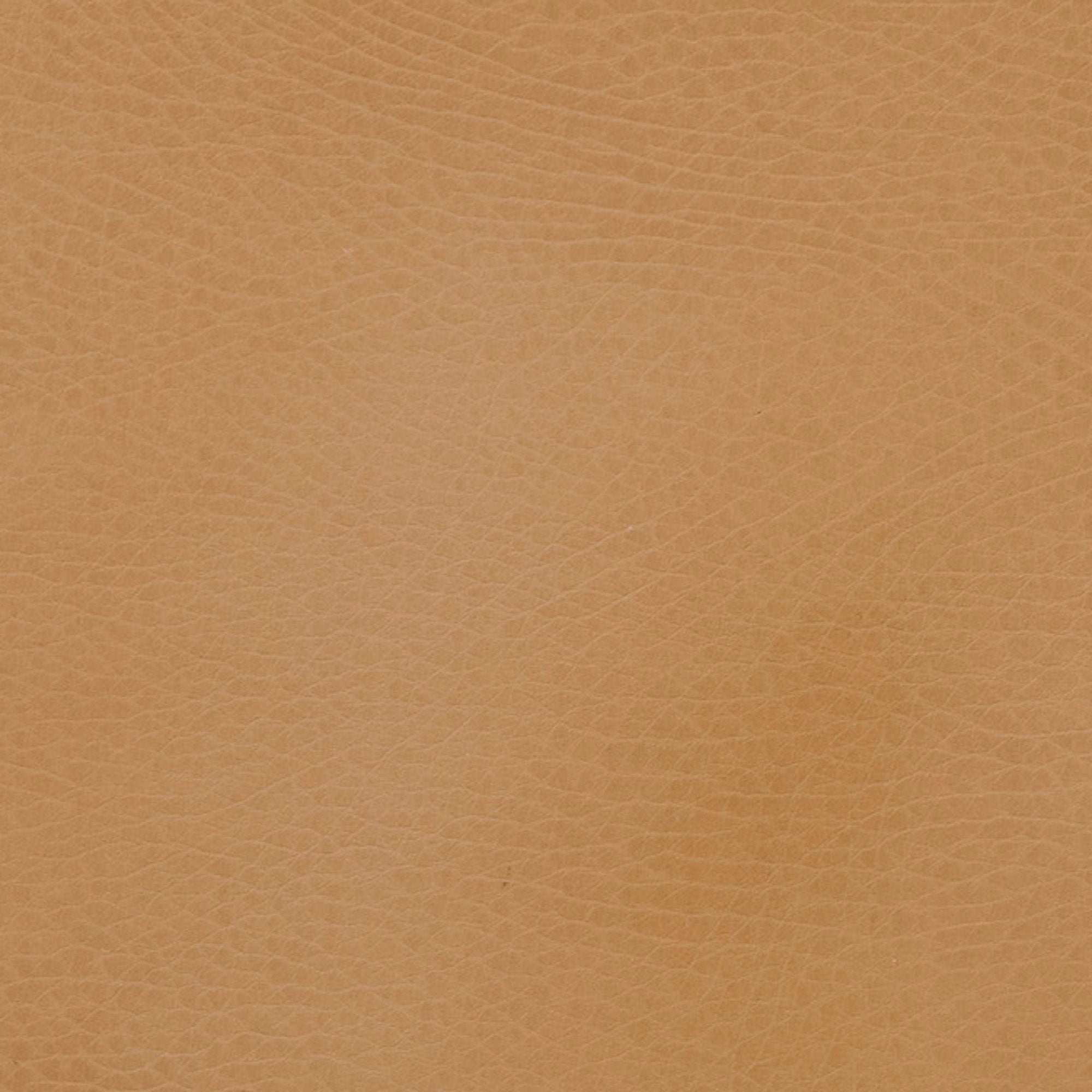 Small Caddy | Gathre - additional view