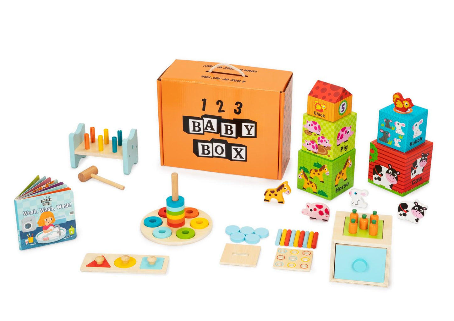 Montessori Educational Box (12-15 Months)