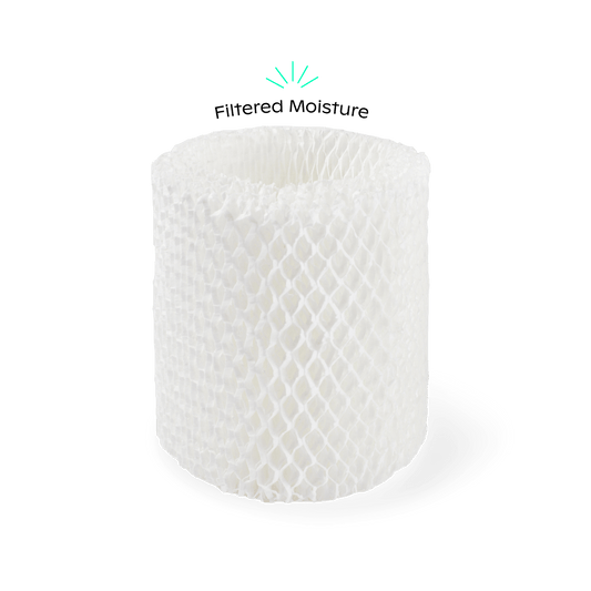 Replacement Filter Subscription