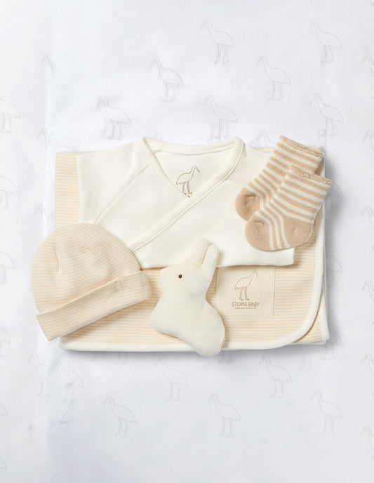 Newborn Baby Bundle