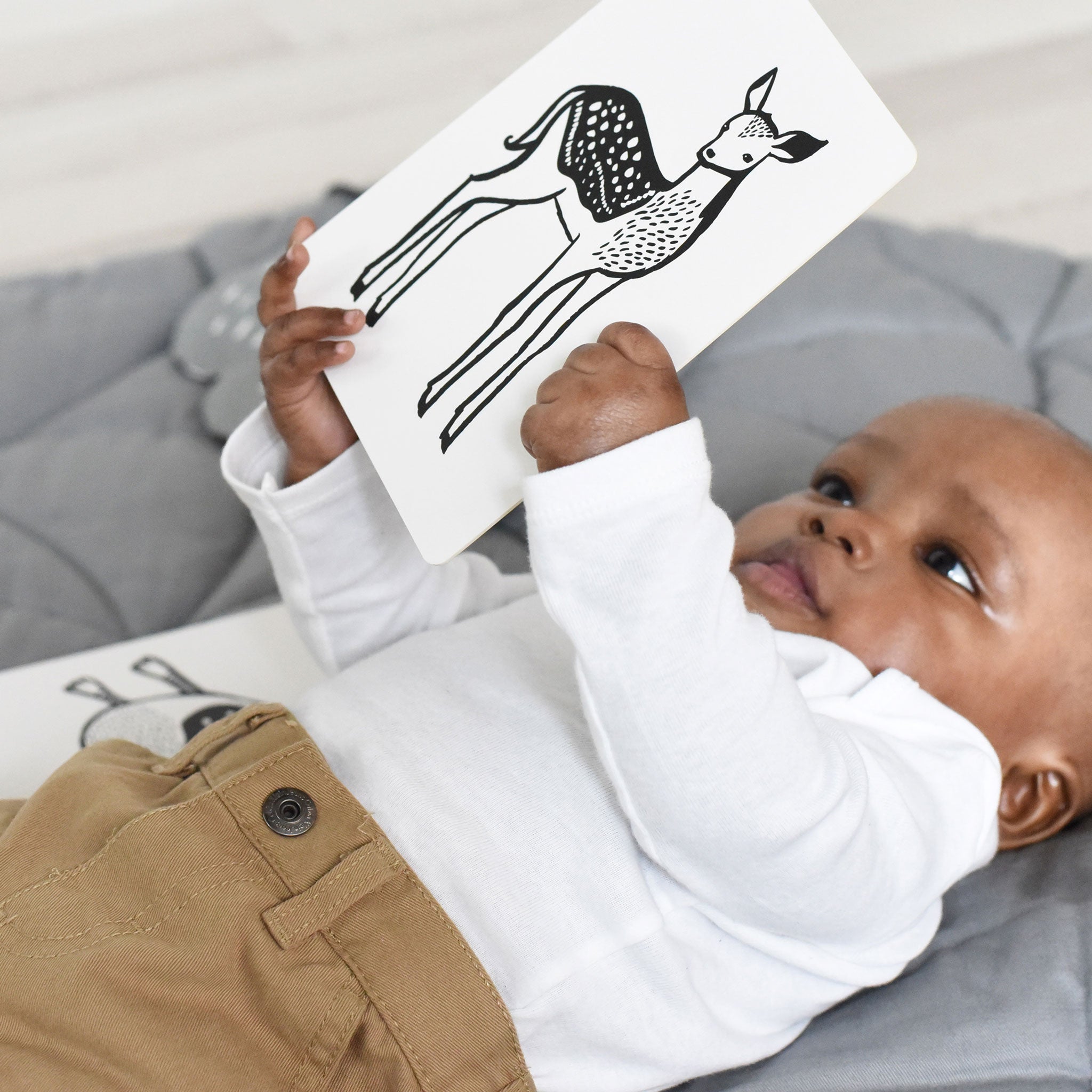 Art Cards for Baby - Pets Collection | Wee Gallery - additional view