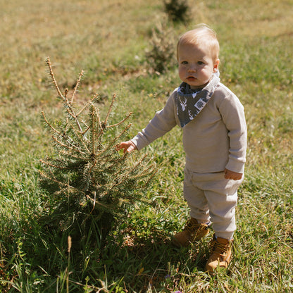 Lumberjack Bandana Bib Set