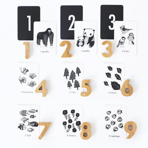 Nature Number Cards | Wee Gallery - additional view