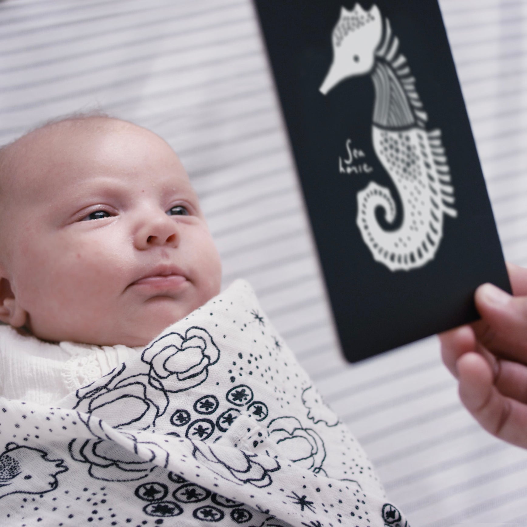 Newborn Baby Gift Set - Ocean | Wee Gallery - additional view