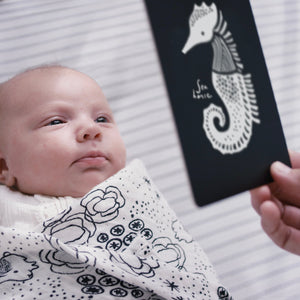 Newborn Baby Gift Set - Ocean | Wee Gallery - additional view