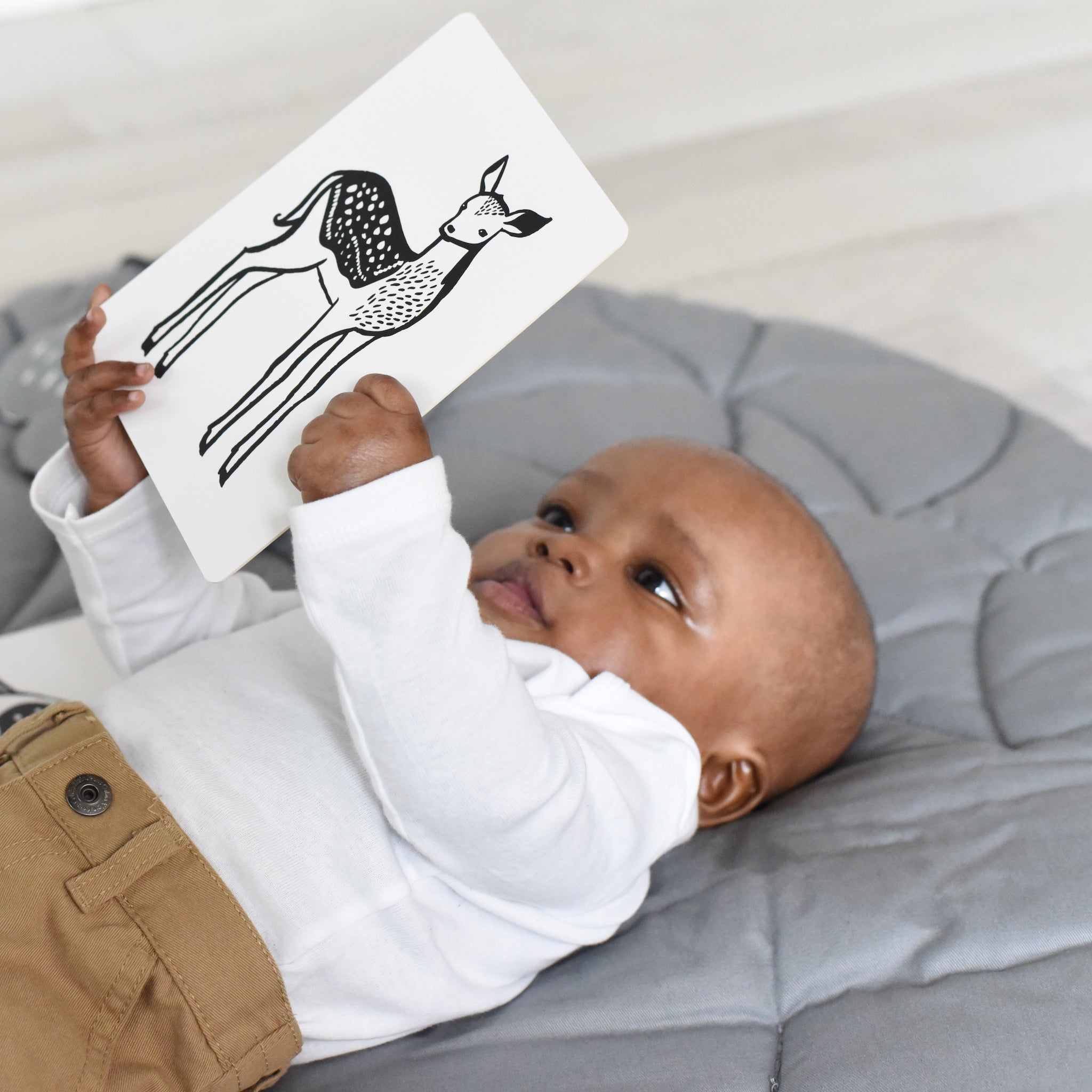 Newborn Baby Gift Set - Baby Animals | Wee Gallery - additional view