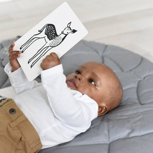 Newborn Baby Gift Set - Baby Animals | Wee Gallery - additional view