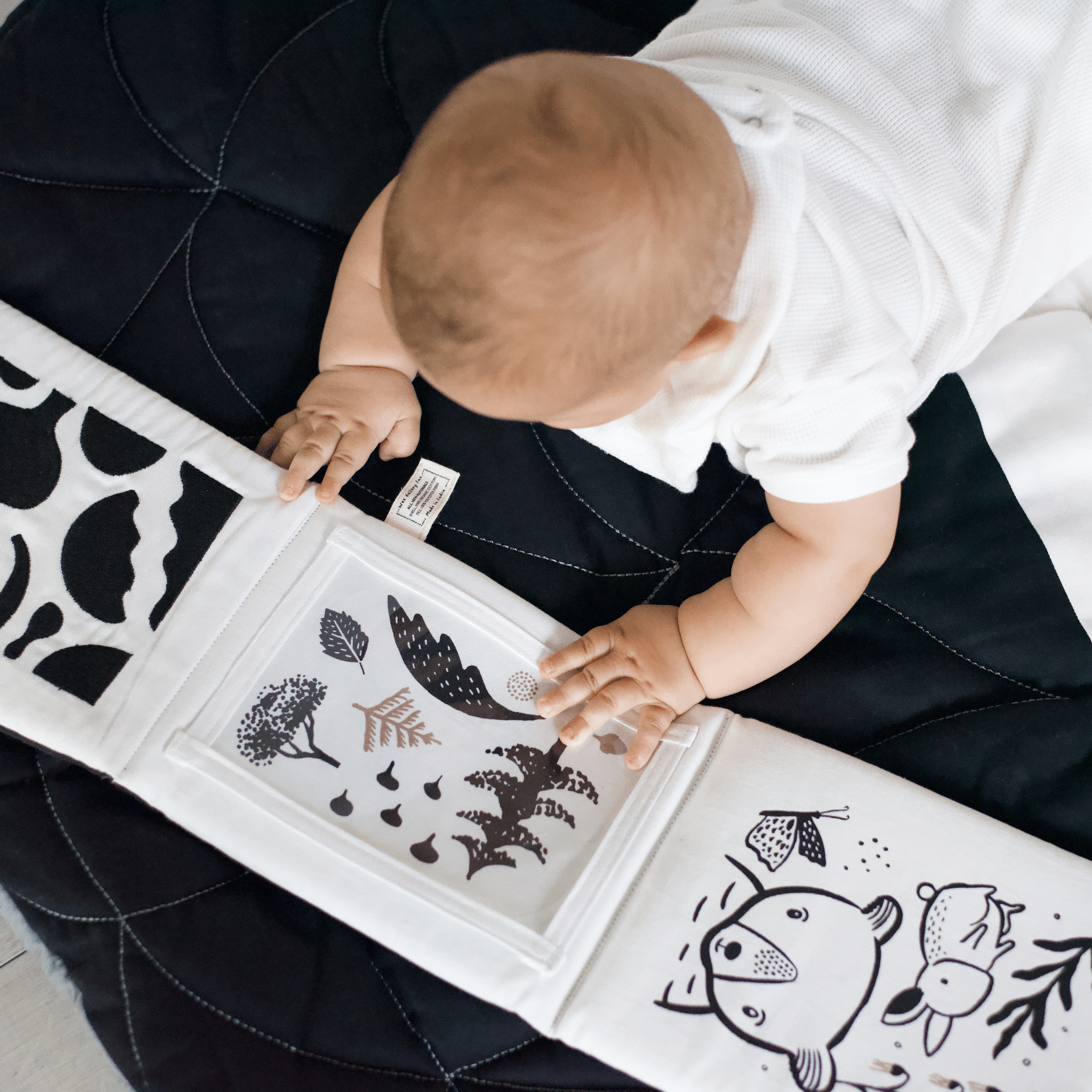 Newborn Baby Gift Set - Safari | Wee Gallery - additional view