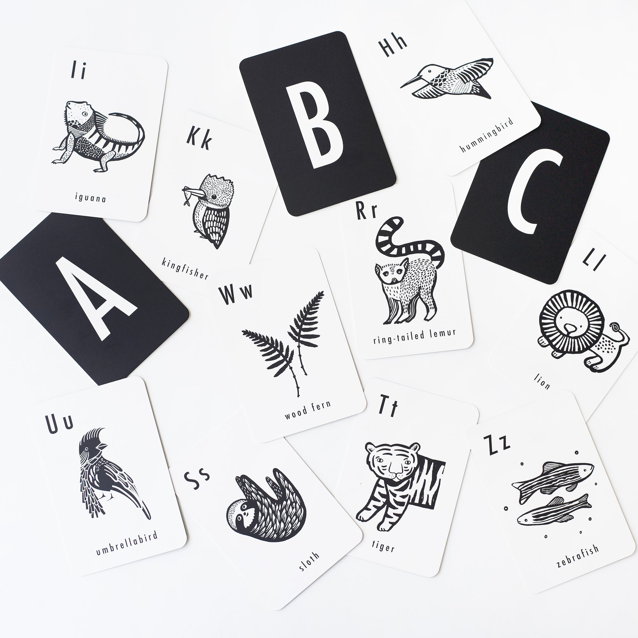 Jungle Alphabet Cards | Wee Gallery - additional view