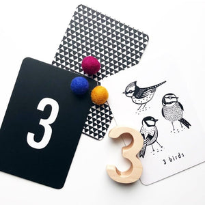 Nature Number Cards | Wee Gallery - additional view