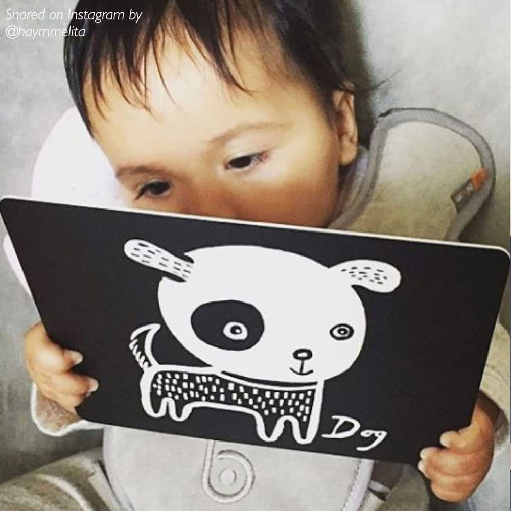 Art Cards for Baby - Pets Collection | Wee Gallery - additional view